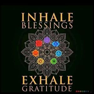 Meet your Posher, Elisa